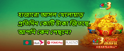 দৈনিক স্পিন বোনাস